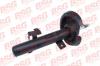 BSG BSG30300033 Стойка передняя левая с амортизатором / FORD Focus