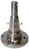 JP GROUP 1251400100 Цапфа задн.