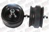 BSG BSG30700032 Опора двигателя / FORD Transit 1.6/2.0 OHC,2.5 D 8