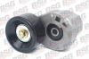 BSG BSG30615011 Ролик приводного ремня с натяжителем / FORD Transi