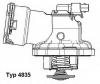 WAHLER 4835.87D Термостат