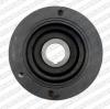 SNR DPF35205 Демпфер шкива (DPF)