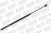 BSG BSG30980011 Амортизатор задней двери / FORD Fiesta V ( 5-ти дв
