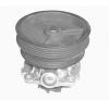 MAGNETI MARELLI 352316170303 Водяной насос