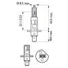 PHILIPS 12258XVS2 12258XVS2 Лампа H1 12V 55W X-treme Power 2шт.