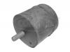 CORTECO 21651250 Подвеска, двигатель