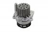 HEPU P654 помпа