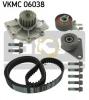 SKF VKMC 06038 Комплект ремня ГРМ VOLVO 2.0T-2.5T 98- (с помпой)