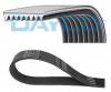 DAYCO 8PK1700HD Поликлиновой ремень
