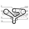 CONTITECH CT1135 Ремень ГРМ