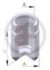 AUTOFREN SEINSA D025253 Поршень, корпус скобы тормоза
