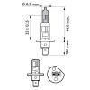 PHILIPS 12258WHVB1 Лампа авто 12В