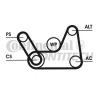 CONTITECH 6PK1019ELASTT1 Ремень поликлиновой
