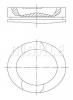 MAHLE 209 73 00 Поршень