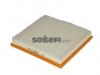 FRAM CA10880 Фильтр воздушный