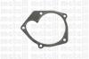 METELLI 24-0907 помпа с прокладкой/ Renault Megane, Nissan Primera 1.9DCI 02