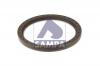 SAMPA 010.209 Уплотняющее кольцо, ступица колеса