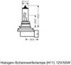 OSRAM 64216TSP Лампа г/с H11 TRUCKSTAR PRO 64216TSP 70W 24V PGJ19-2 4052899904804