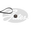 GATES K016PK1019SF Поликлиновой ременный комплект