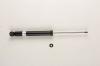 BILSTEIN 19-019819 19-019819 (BNE-1981) Амортизатор Bilstein
