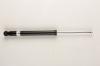 BILSTEIN 19-068633 19-068633 (BNE-6863) Амортизатор Bilstein