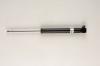 BILSTEIN 19-139968 19-139968 (BNE-D996) Амортизатор Bilstein