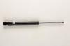 BILSTEIN 19-170732 Амортизатор задний GAS