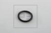 PETERS ENNEPETAL 076.234-00A Уплотнительное кольцо