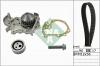 INA 530 0191 31 Комплект ремня ГРМ RENAULT KANGOO 1.6 -01 (с помпой)