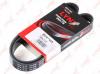 LYNX 7PK1035 Ремень ручейковый