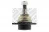 MAPCO 51688 Опора шаровая
