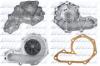 DOLZ R179RS Водяной насос