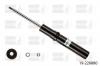 BILSTEIN 19-226880 Амортизатор передний двухтрубный газовый