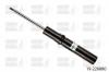 BILSTEIN 19-226880 Амортизатор передний двухтрубный газовый