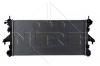 NRF 54202 Радиатор, охлаждение двигателя