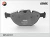 FENOX BP43187 Колодки BMW X5(E53) 4.4/4.6/4.8 00-04 BP43187