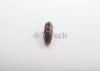 BOSCH 0432191258 Распылитель