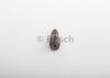 BOSCH 0432191258 Распылитель