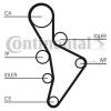 CONTITECH CT1088WP3 Ремень ГРМ [148 зуб.,23mm] + Водяной насос + 3 ролика + болт+ 2 гайки