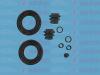 AUTOFREN SEINSA D42410 D42410_ремонтный к-т cуппорта передний/ Lexus RX 08-15/NX 14&gt;, Toyota Rav4 12&gt;