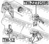 FEBEST TM-ZZT250R Подушка двигателя задняя