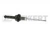 ZEKKERT SG-2540 Амортизатор подвески газ. Honda CR-V I (RD) 95- зад.