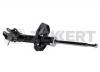ZEKKERT SG-4050 Амортизатор газ. Nissan Almera II (N16) 00- перед. лев.