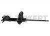 ZEKKERT SG-4876 Амортизатор газ. Hyundai Accent II (LC) 99- задний прав.