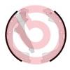 BREMBO S85542 Колодки тормозные