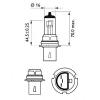 PHILIPS 9004C1 Лампа г/с HB1 65/45W 12V стандарт