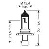 OSRAM 9006XS Лампа HB4A 12V 51W