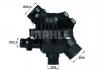 MAHLE TM 14 97 Термостат, охлаждающая жидкость