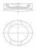 MAHLE 061 47 00 Поршень