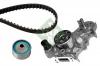 INA 530 0182 30 Комплект ремня ГРМ RENAULT KANGOO 1.2 97- (с помпой)